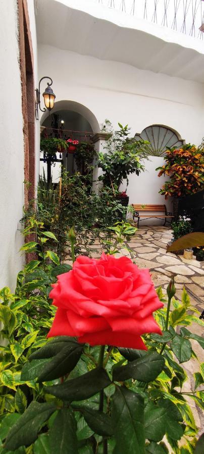 El Jardin De La Abuela Hotel Queretaro Luaran gambar
