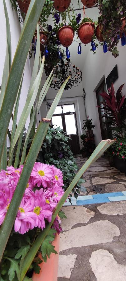 El Jardin De La Abuela Hotel Queretaro Luaran gambar